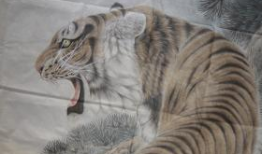 国产精品虎,传承与创新，展现中国设计魅力